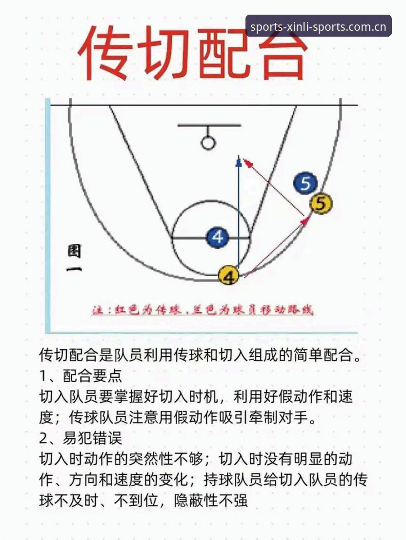 6个关键点解读新利体育精准预测的核心逻辑与实战方法